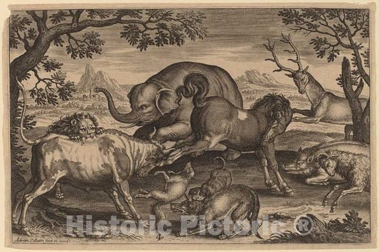 Art Print : Adriaen Collaert, Animalium Quadrupedum - Vintage Wall Art