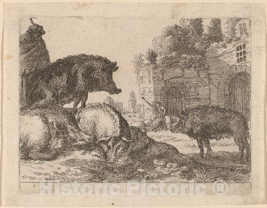 Art Print : Herman Van Swanevelt, Pigs - Vintage Wall Art