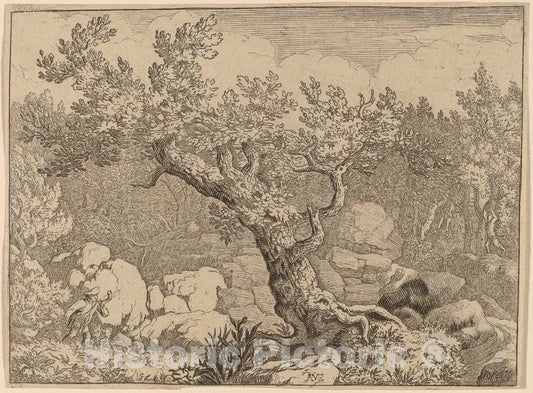 Art Print : Allart Van Everdingen, Sportsman Near a Large Tree, c.1651 - Vintage Wall Art