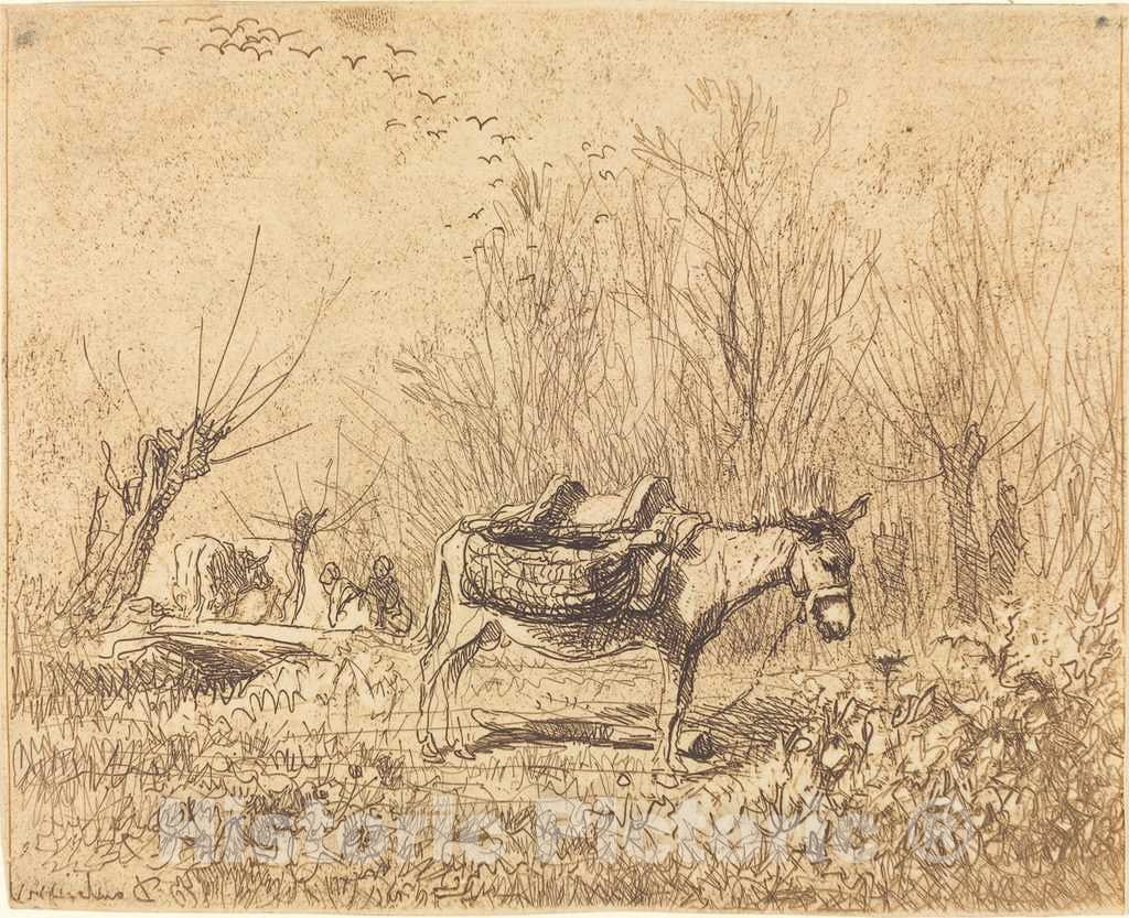 Art Print : Charles-FranÃ§ois Daubigny, Donkey in a Field (L'Ane au pre), 1862 - Vintage Wall Art