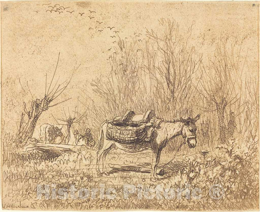 Art Print : Charles-FranÃ§ois Daubigny, Donkey in a Field (L'Ane au pre), 1862 - Vintage Wall Art