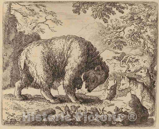 Art Print : Allart Van Everdingen, The Bear Distracted with Talk of Honey, c.1651 - Vintage Wall Art