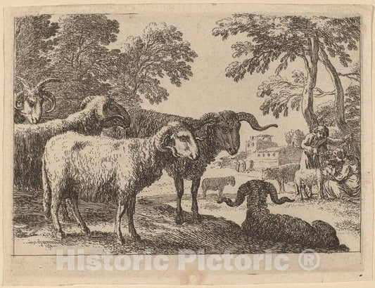 Art Print : Herman Van Swanevelt, Rams - Vintage Wall Art