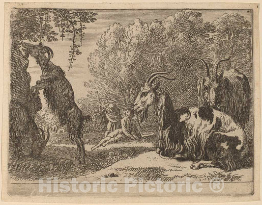 Art Print : Herman Van Swanevelt, Goats - Vintage Wall Art