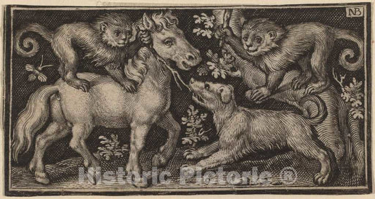 Art Print : Nicolaes de Bruyn, Horse with Two Monkeys and a Dog, 1594 - Vintage Wall Art