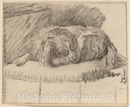 Art Print : Amstel and Brouwer After Mieris, Lying Dog, 1777 - Vintage Wall Art