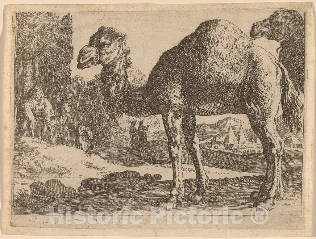 Art Print : Herman Van Swanevelt, Camels - Vintage Wall Art