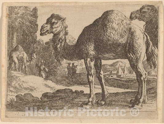 Art Print : Herman Van Swanevelt, Camels - Vintage Wall Art