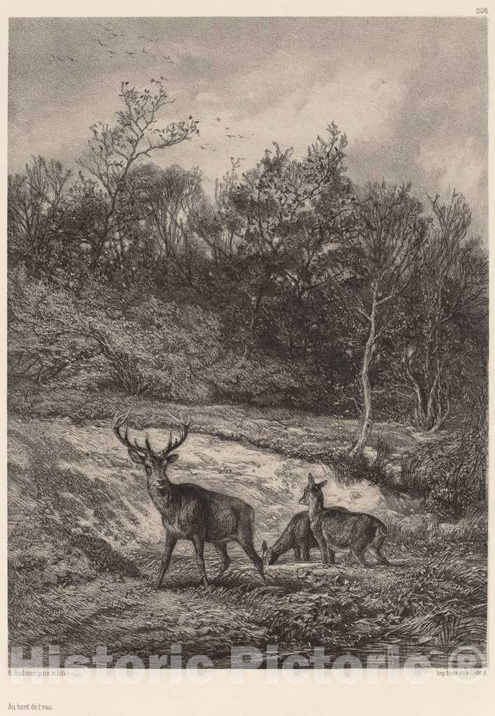 Art Print : Karl Bodmer, Au Bord de l'eau - Vintage Wall Art