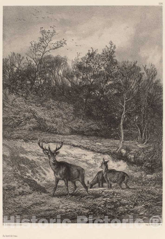 Art Print : Karl Bodmer, Au Bord de l'eau - Vintage Wall Art