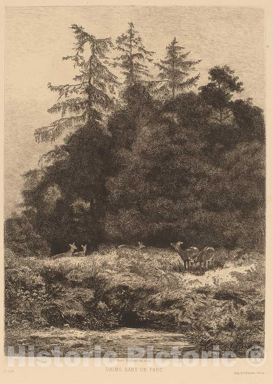 Art Print : Karl Bodmer, Daims Dans un PARC - Vintage Wall Art