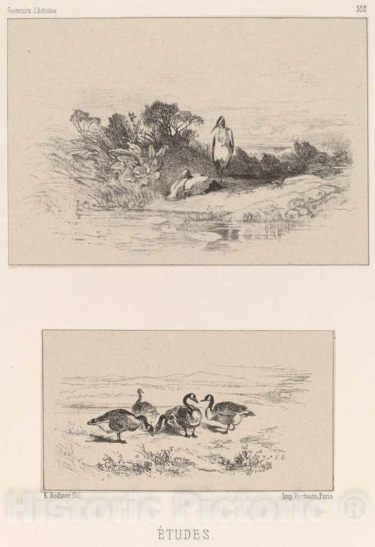 Art Print : Karl Bodmer, Etudes - Vintage Wall Art