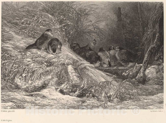 Art Print : Karl Bodmer, A l'abri du givre - Vintage Wall Art