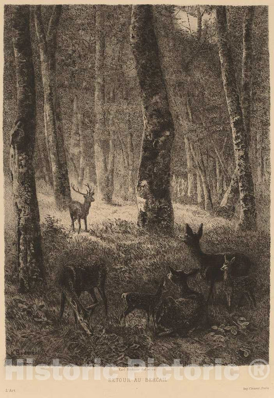 Art Print : Karl Bodmer, Retour au Bercail - Vintage Wall Art