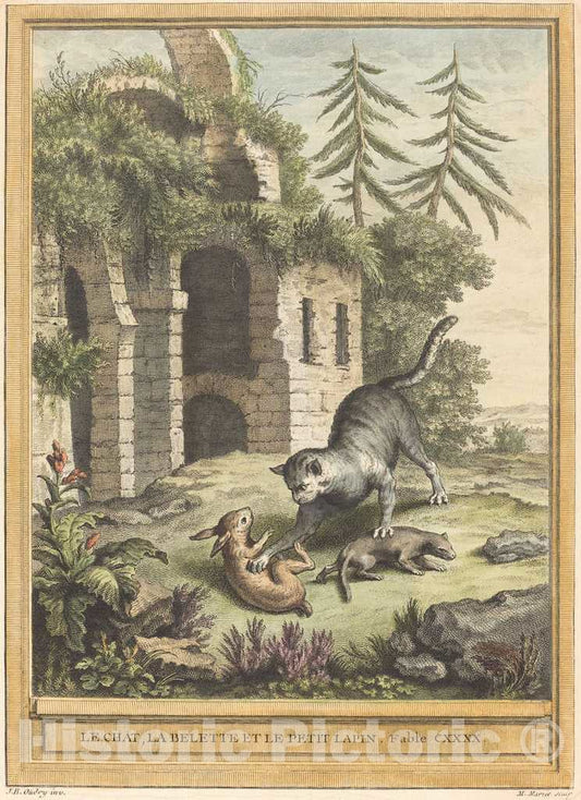 Art Print : Martin Marvie After Oudry, Le Chat, la balette et le Petit Lapin (The Cat, The Weasel, and The Rabbit), 1756 - Vintage Wall Art