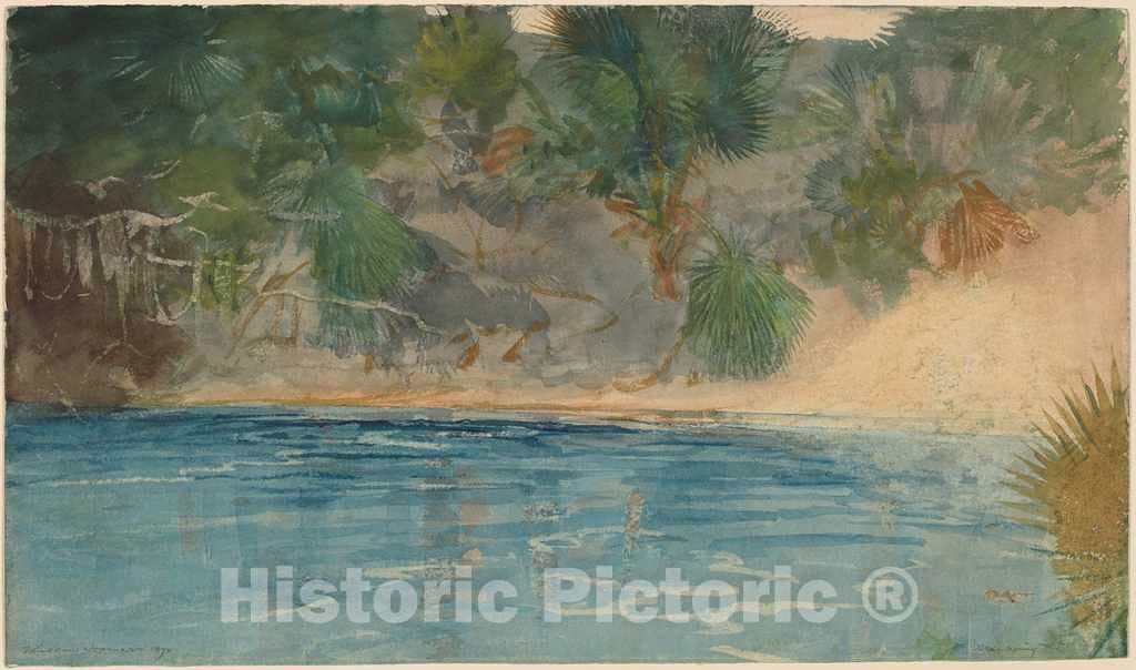 Art Print : Winslow Homer, Blue Spring, Florida, 1890 - Vintage Wall Art