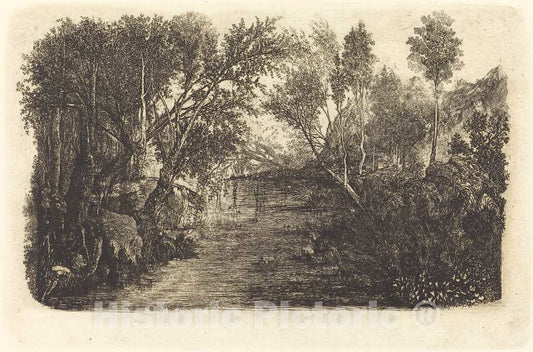 Art Print : Rodolphe Bresdin, The Water's Course, 1888 - Vintage Wall Art