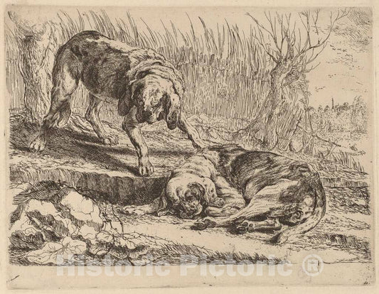 Art Print : Jan Fyt, Two Beagles, One Sleeping, c.1641 - Vintage Wall Art
