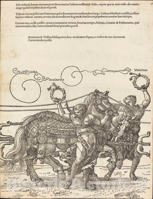 Art Print : Albrecht DÃ¼rer, The Triumphal Chariot of Maximilian I (The Great Triumphal Car) [Plate 6 of 8], 1522 - Vintage Wall Art