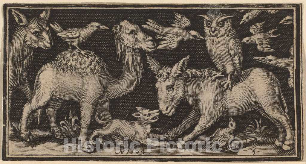 Art Print : Nicolaes de Bruyn, Owl on Back of Donkey, Bird on Back of Camel with Other Animals, 1594 - Vintage Wall Art