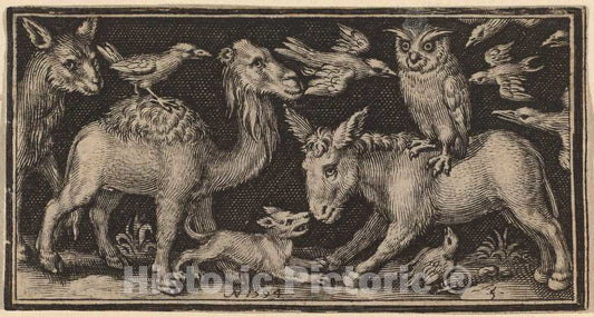 Art Print : Nicolaes de Bruyn, Owl on Back of Donkey, Bird on Back of Camel with Other Animals, 1594 - Vintage Wall Art
