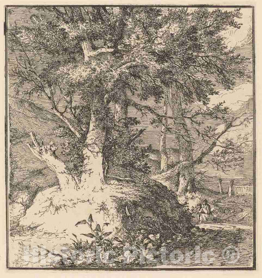 Art Print : John Crome, Tree on a Mound - Vintage Wall Art