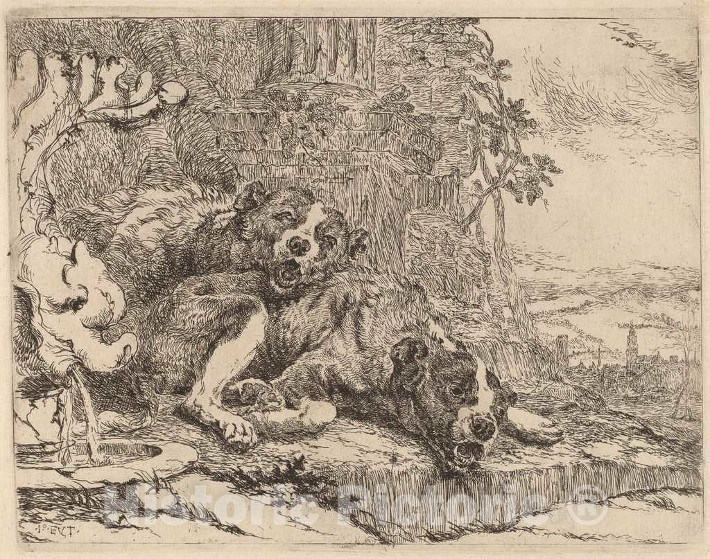 Art Print : Jan Fyt, Two Mastiffs Beside a Fountain, c.1641 - Vintage Wall Art