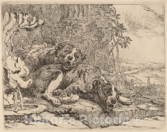 Art Print : Jan Fyt, Two Mastiffs Beside a Fountain, c.1641 - Vintage Wall Art