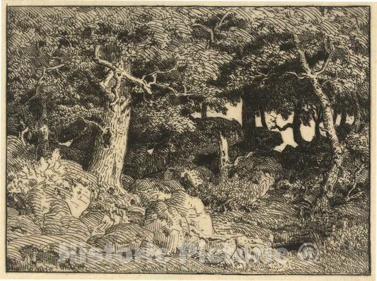 Art Print : ThÃ©odore Rousseau, Chenes de Roche (Rock Oaks), 1861 - Vintage Wall Art