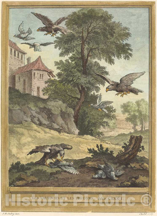 Art Print : Chedel After Oudry, Les vautours et les Pigeons (Vultures and Pigeons), 1756 - Vintage Wall Art