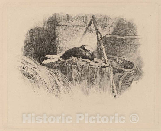 Art Print : Karl Bodmer, Pigeon sur un nid - Vintage Wall Art