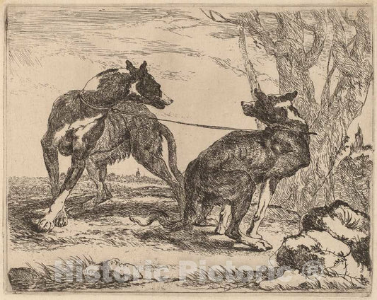 Art Print : Jan Fyt, Two Greyhounds, Leashed and Facing Each Other, 1640 - Vintage Wall Art