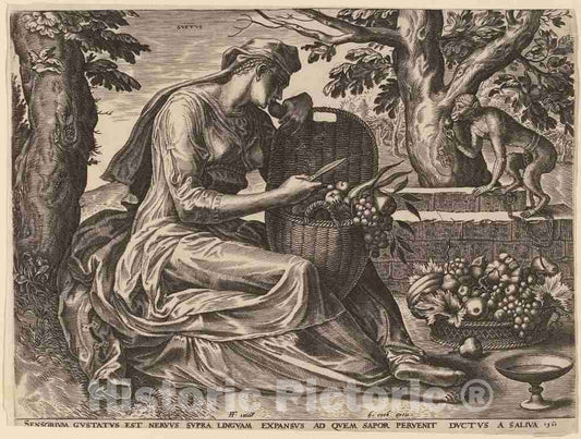 Art Print : Cort After Frans Floris I, Gustus, 1561 - Vintage Wall Art
