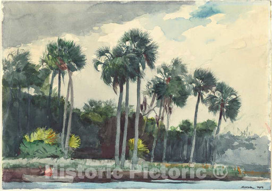 Art Print : Winslow Homer, Red Shirt, Homosassa, Florida, 1904 - Vintage Wall Art