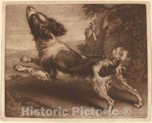 Art Print : Jan Verkolje I, A Spaniel Jumping, 1680 - Vintage Wall Art