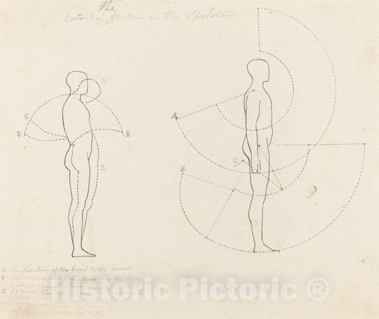 Art Print : Scharf After Flaxman, Extent of Motion Shown in Two Figures, 1829 - Vintage Wall Art