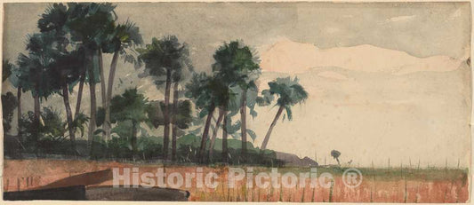 Art Print : Winslow Homer, Palm Trees, Red, 1890 - Vintage Wall Art