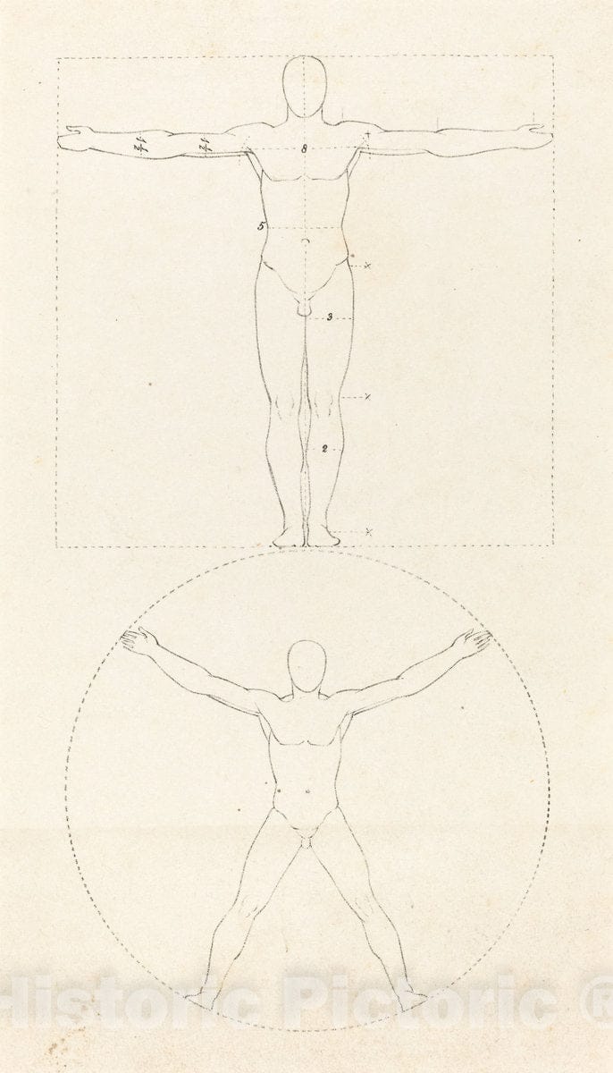 Art Print : Scharf After Flaxman, Circle and Square of The Human Figure, 1829 - Vintage Wall Art