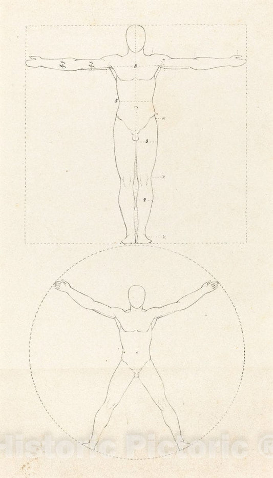 Art Print : Scharf After Flaxman, Circle and Square of The Human Figure, 1829 - Vintage Wall Art