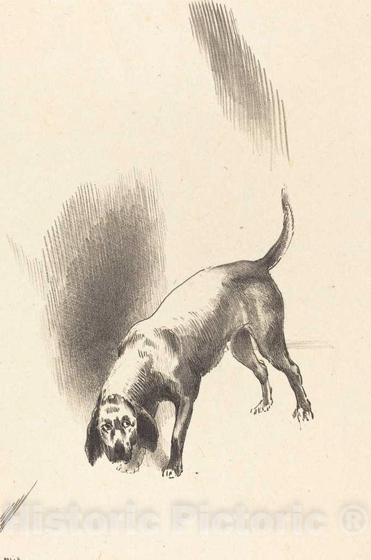 Art Print : Odilon Redon, The Dog, 1896 - Vintage Wall Art