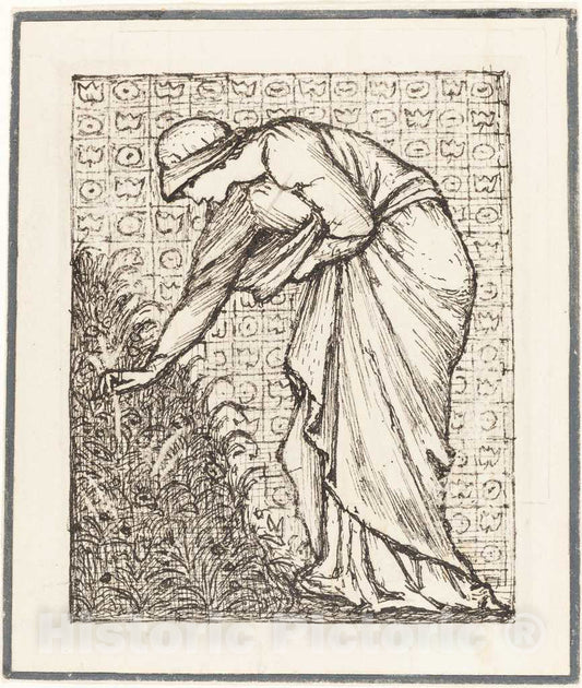 Art Print : Sir Edward Coley Burne-Jones, Lady Picking Flowers, c. 1890 - Vintage Wall Art