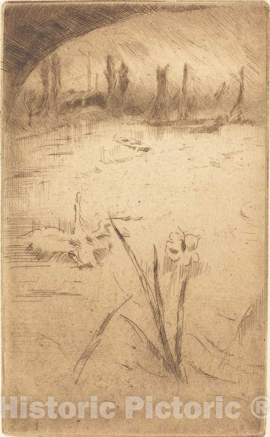 Art Print : James McNeill Whistler, Swan and Iris, 1883 - Vintage Wall Art