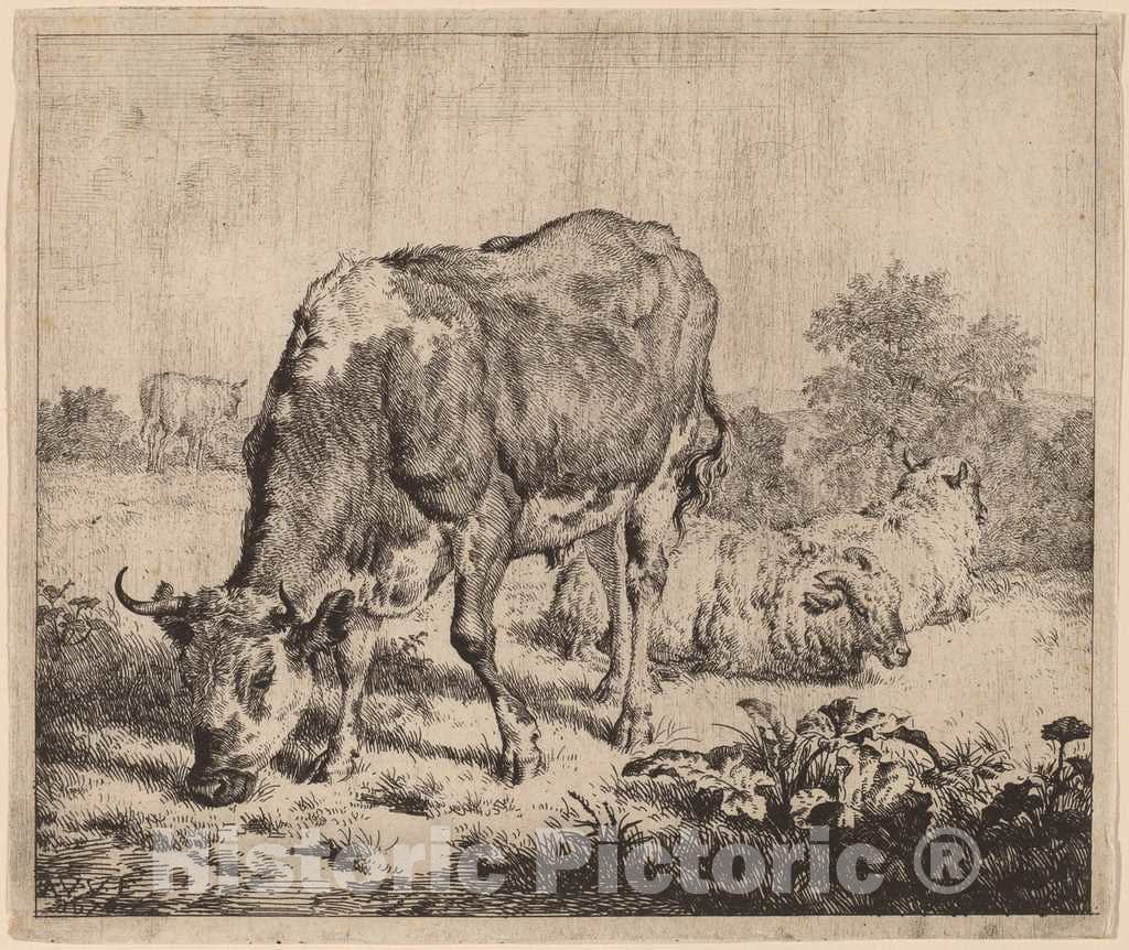 Art Print : Adriaen Van de Velde, Spotted Bull and Three Sheep, 1670 - Vintage Wall Art