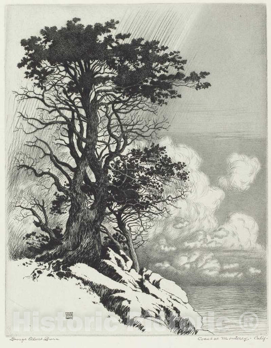 Art Print : George Elbert Burr, Coast at Monterey, California, c. 1925 - Vintage Wall Art
