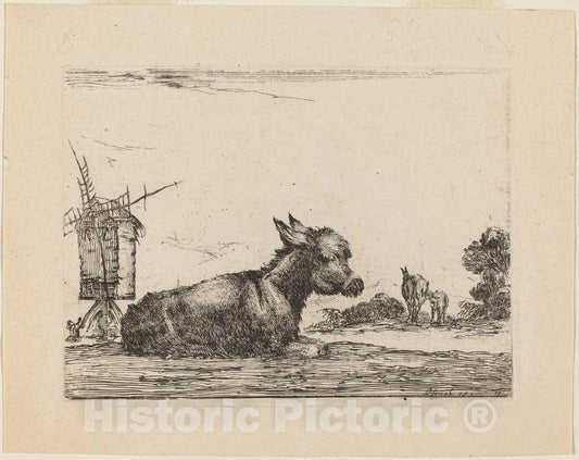 Art Print : Stefano Della Bella, Donkey Resting, 1642 - Vintage Wall Art