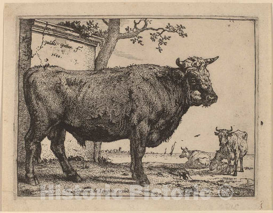 Art Print : Paulus Potter, Bull, 1650 - Vintage Wall Art