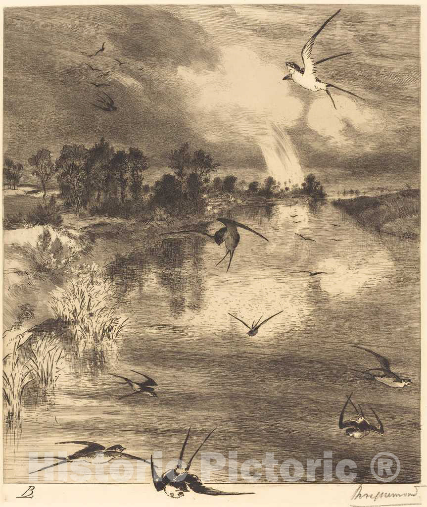 Art Print : FÃ©lix Bracquemond, The Swallows, c. 1884 - Vintage Wall Art