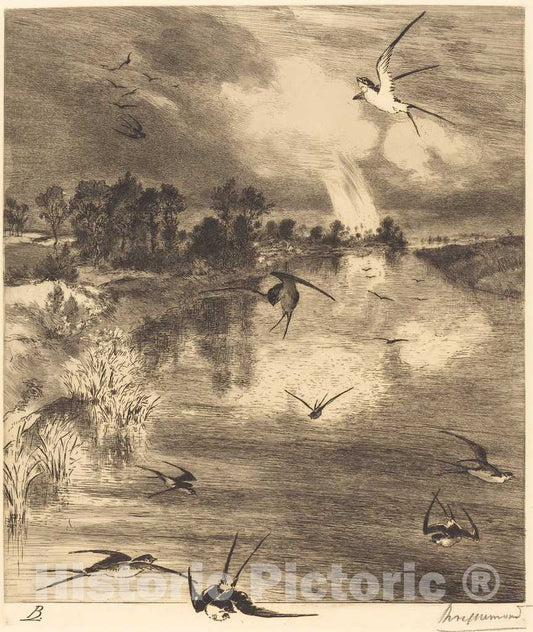 Art Print : FÃ©lix Bracquemond, The Swallows, c. 1884 - Vintage Wall Art