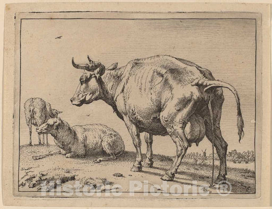 Art Print : Paulus Potter, Pissing Cow, 1650 - Vintage Wall Art