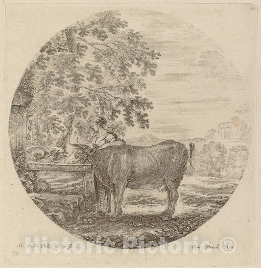 Art Print : Stefano Della Bella, Cow and Young Shepherd at a Fountain - Vintage Wall Art
